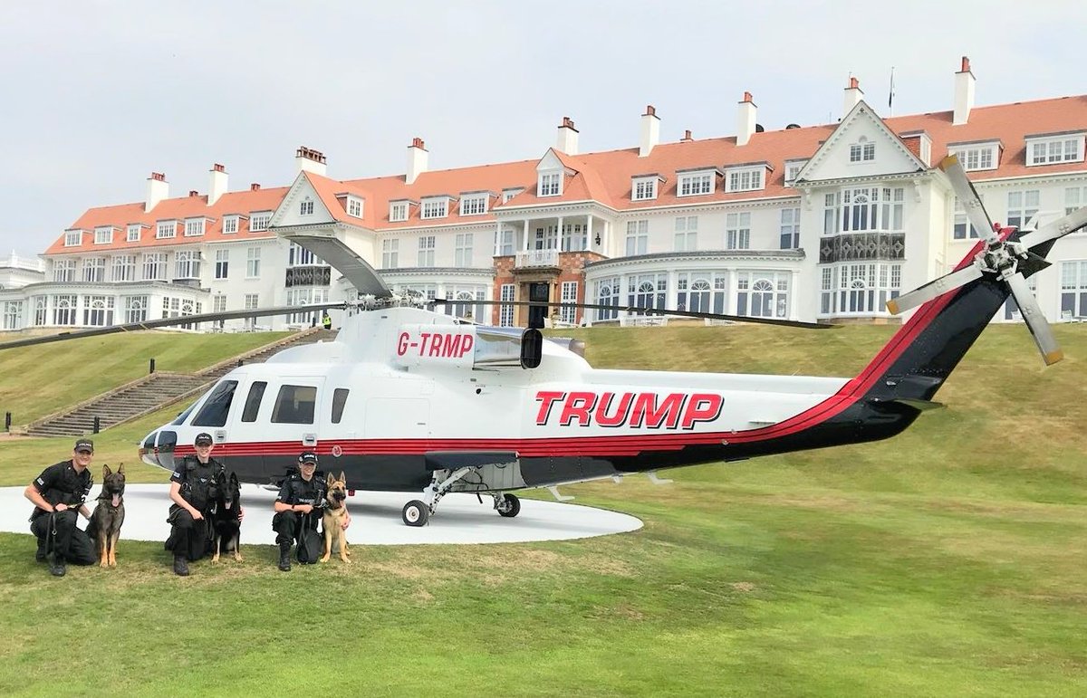 PSOSDogs's tweet image. It's Tuesday so that means it is time for #TongueOutTuesday 👅 #PDChase #PDBodie #PDTora  #Turnberry #MakingMemories #PoliceDogsOfTwitter #TartanDogs 🐶🐶🐶