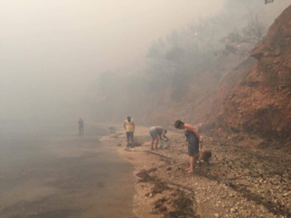 severeweatherEU's tweet photo. People taking refuge from fires along the beach in Argyris Akti, Nea Makri, Greece yesterday, July 23! Report: Kalogerikos Nikos / Forecast weather Greece https://t.co/2tlnVG6wzD