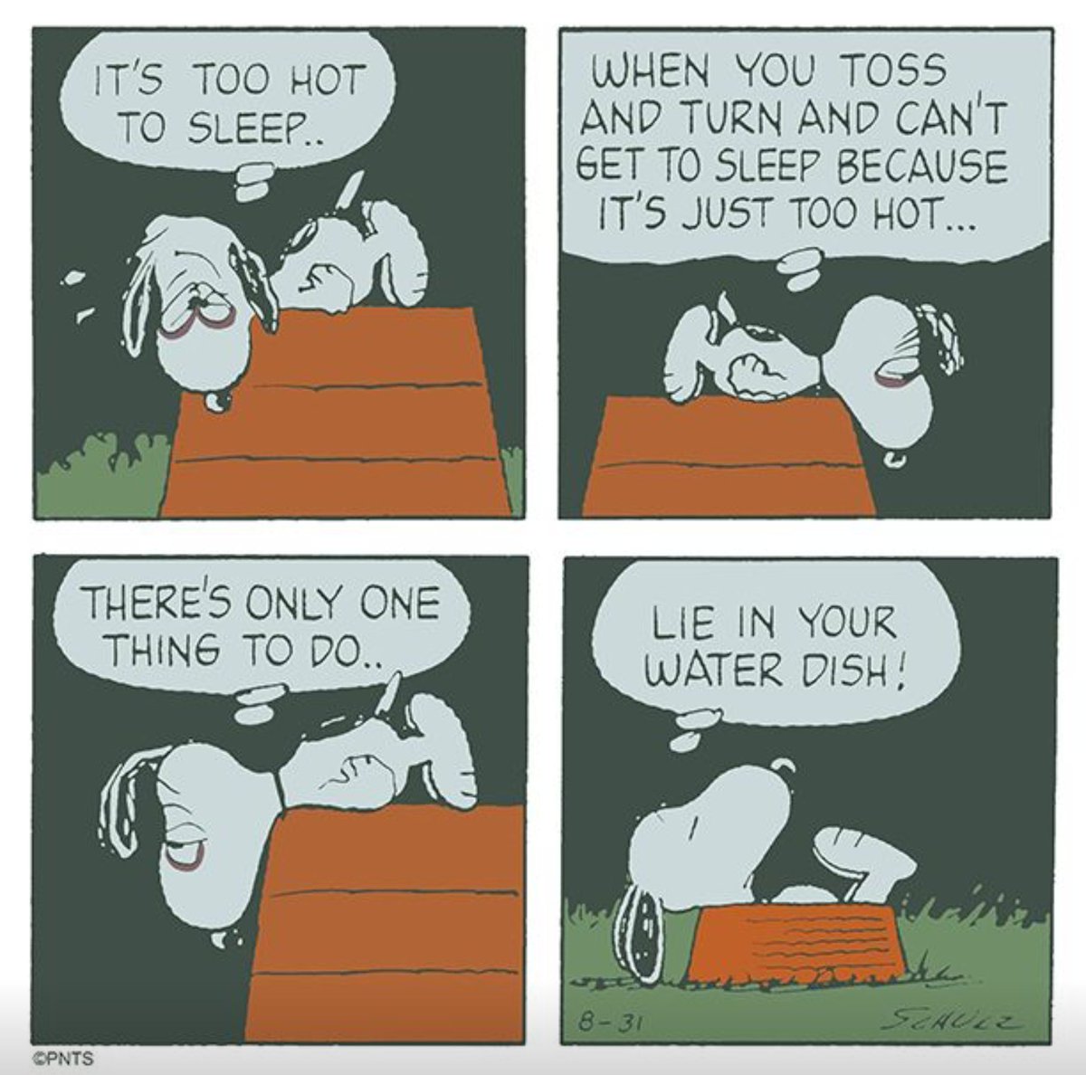 Cookie_PSX's tweet photo. I think I need a bigger water dish. https://t.co/sw3GaLPQug