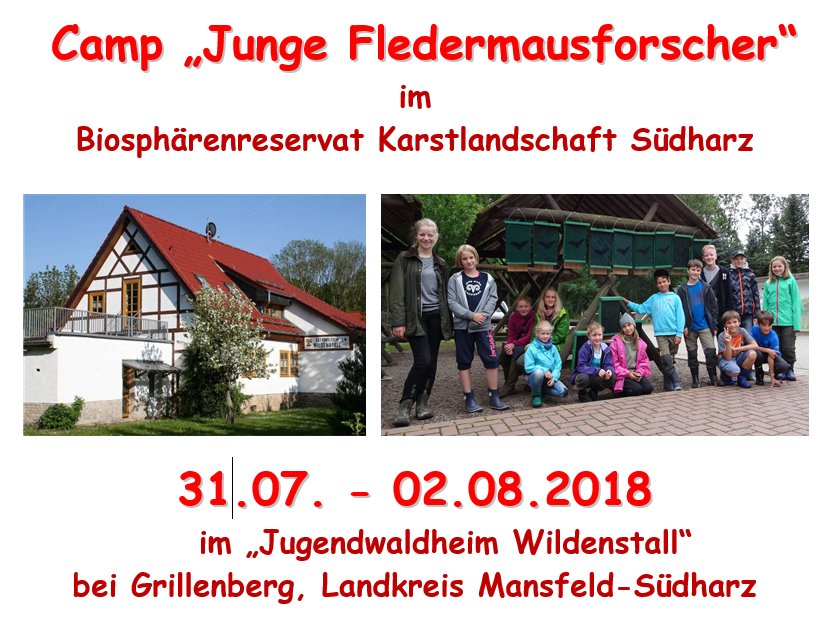 Verein_Suedharz's tweet photo. Programm: #Camp „Junge #Fledermausforscher“ im #Biosphärenreservat #Karstlandschaft #Südharz
Vom 31.07. bis 02.08.2018
im „#Jugendwaldheim #Wildenstall“
bei #Grillenberg, Landkreis #MansfeldSüdharz
https://t.co/PS1ydUSSKl https://t.co/CQ27CYpI2p