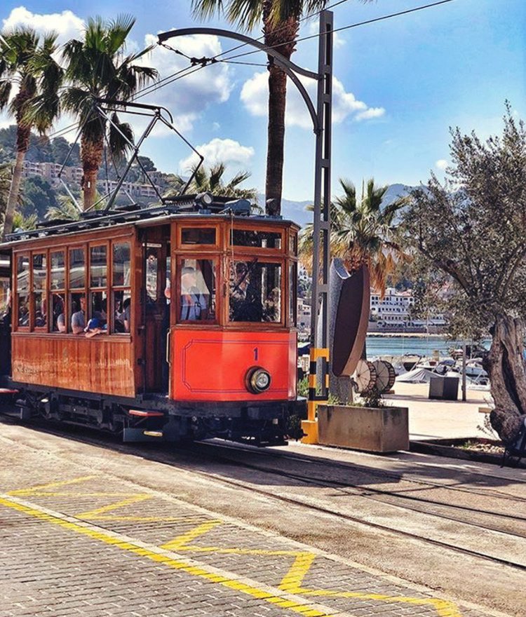 goSwaype's tweet photo. This week we’re featuring the beautiful Spanish island of Majorca!
Famed for perfect weather and flocking tourists, Majorca has kept its traditions close to heart – including these rustic trams! 😇
Have you visited #Majorca?
#MajorcaWeek #VisitMajorca (@mallorcaworld) https://t.co/96aYjwKd0A