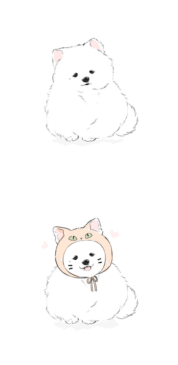 🐈🍑 tweet media