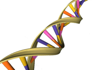 TheSearchEnders's tweet photo. Are you protecting yourself? DNA can be a very helpful tool in finding biological family.

 To know more - https://t.co/Cly3mOCwBX https://t.co/IK9tqQc4x3