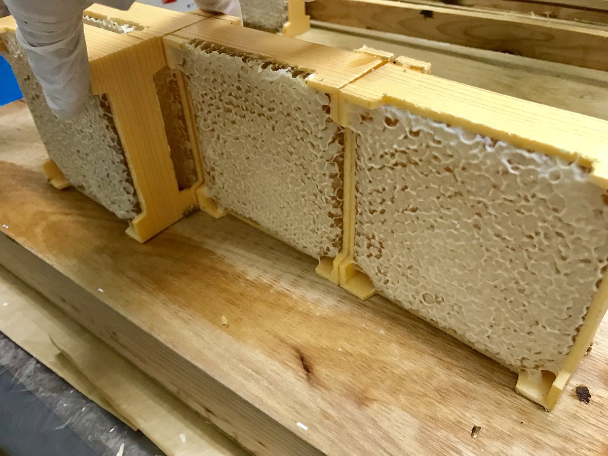 公式 杉養蜂園 Sugi Bee Garden Pe Twitter 今年の初夏に採集した 四角巣房蜜 を商品としての準備中 もう少しです 楽しみに待っていてください はちみつ みつばち 巣房蜜 新蜜 とれたて 国産 熊本産 健やか農蜂業 杉養蜂園 T Co Lma2cmr3bz