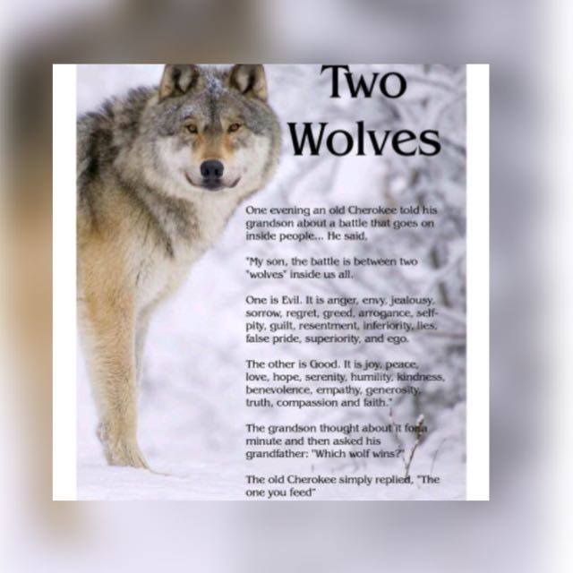 Mahlatsi_SM's tweet photo. Beware of what wolve you feed!!
#TheFruitsOfTheSpirit! https://t.co/FlYu1ikbf7