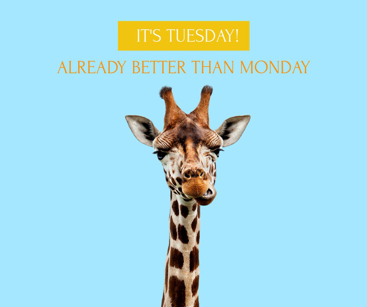 It's Tuesday! keep up the good work and stay motivated!