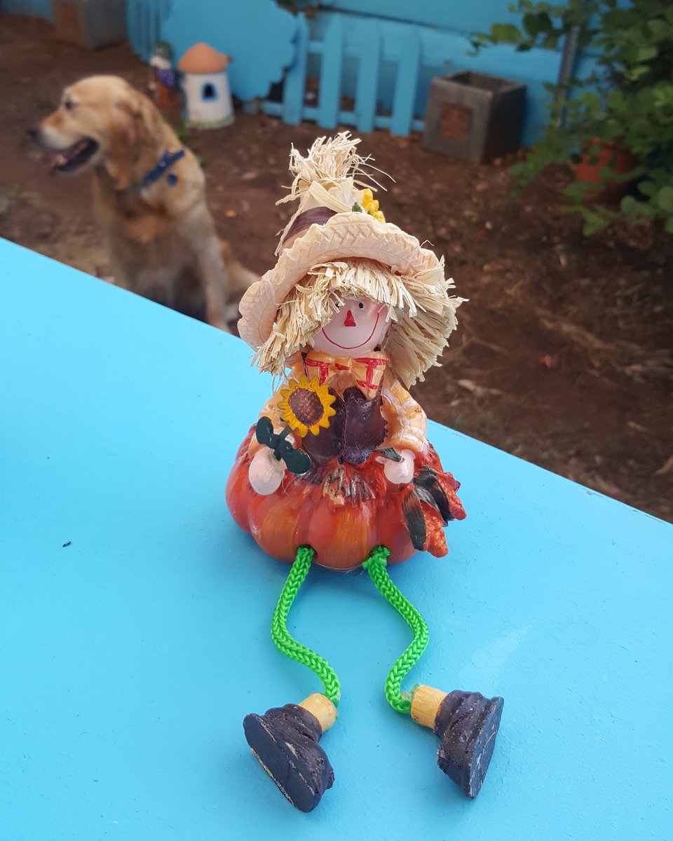 Adına: yağmur dedik
Mersin kadın sığınma  evinin bizim için  yaptığı  özel  ürün  satışı devam ediyor.
Geliri ile engelli bir üyemize tekerlikli sandalyesindeki eksiği  tamamlayacağız.
Her ürünümüzün geliri engelli kızların  yada engelli annelerin hayatina destek