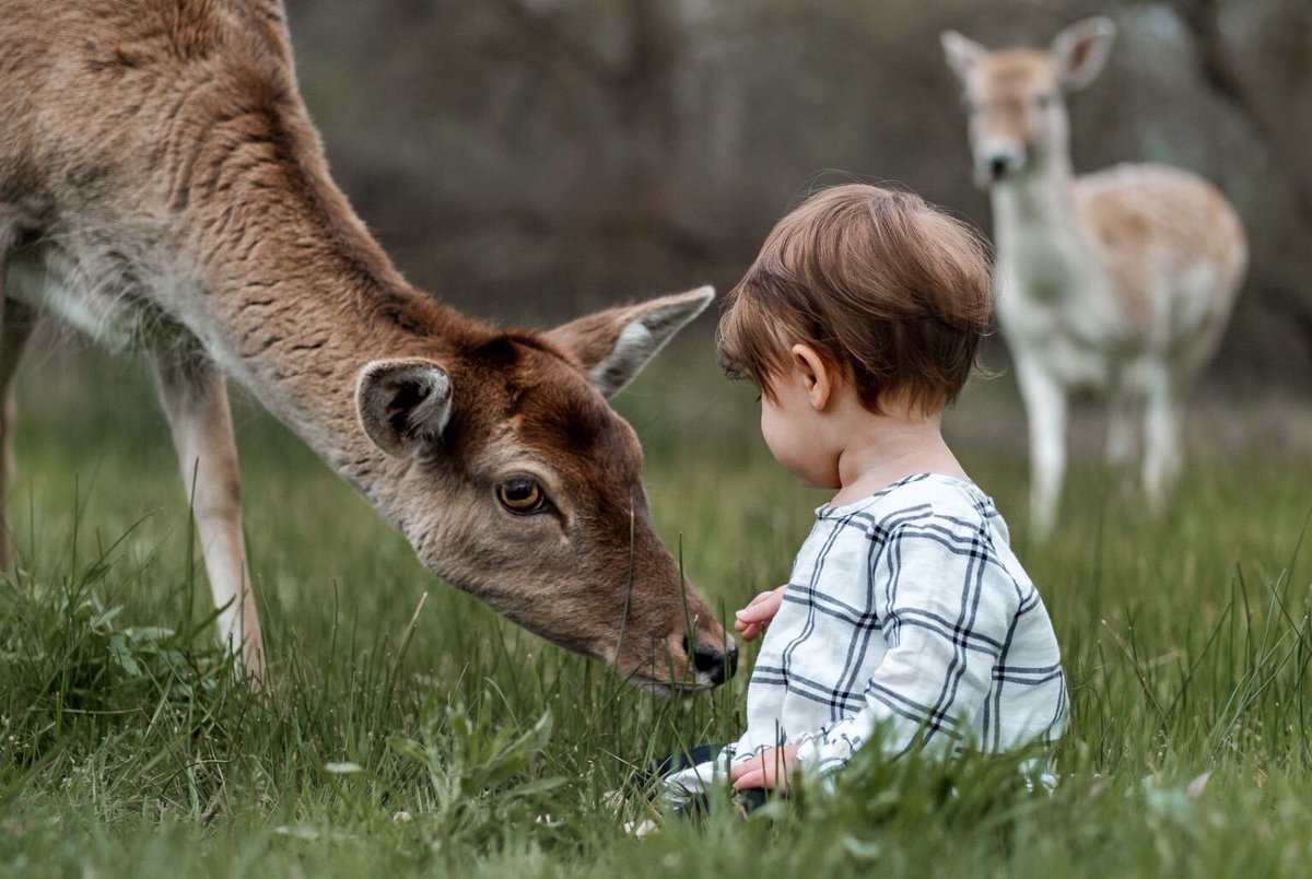 ramblingsloa's tweet image. Open your eyes to the beauty around you
Open your mind to the wonders of life
Open your heart to those who love you
And always be true to yourself.

Maya Angelou