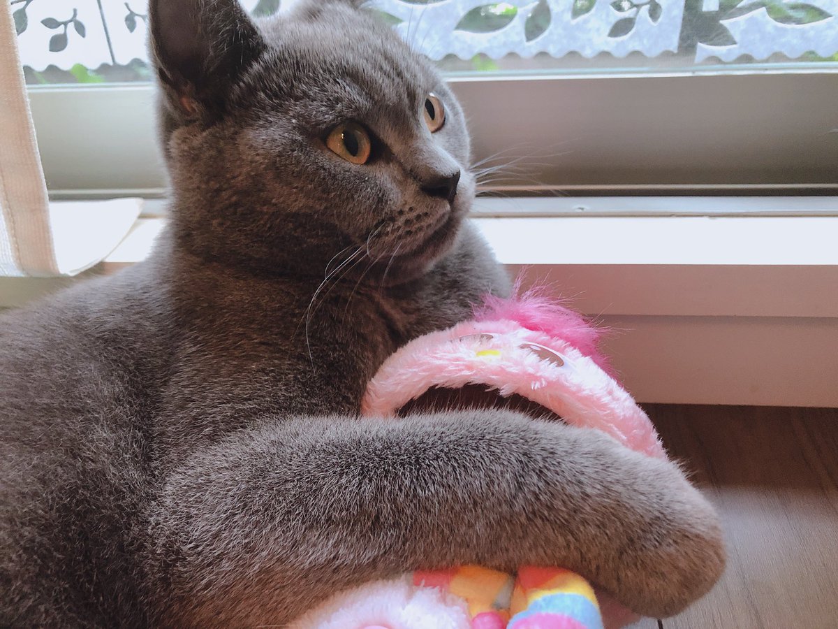 俺の女感が否めない