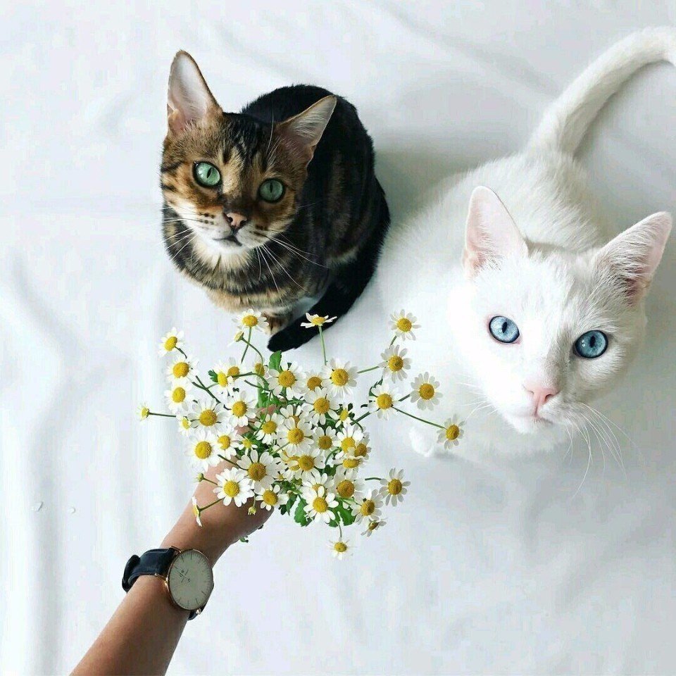 fffslava's tweet photo. лучшие фотомодели https://t.co/ad04J5MYDN