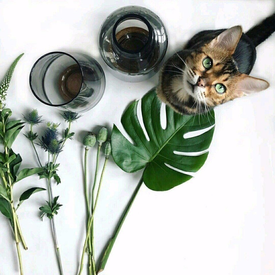 fffslava's tweet photo. лучшие фотомодели https://t.co/ad04J5MYDN