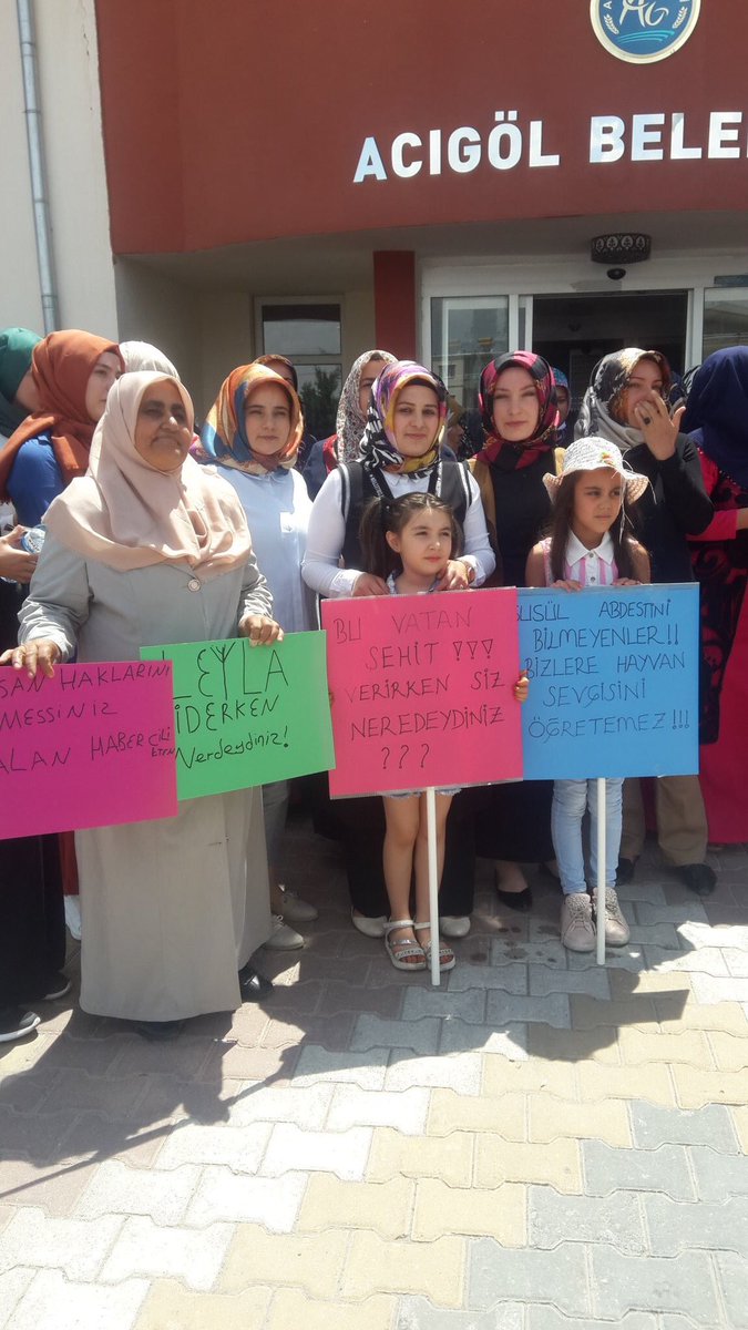 Bu ülkenin cahillik, şerefsizlik, gerizekalılık seviyesinden iğreniyorum artık. Bu nasıl bir üste çıkma şeklidir ulan!!! Belediye çalışanlarınız bir köpeği çöp arabasına koyup presle ezip öldürdü. Hepinizin abv. Hala şehitler ölürken nerdeydiniz, gusül abdesti falan diyor.