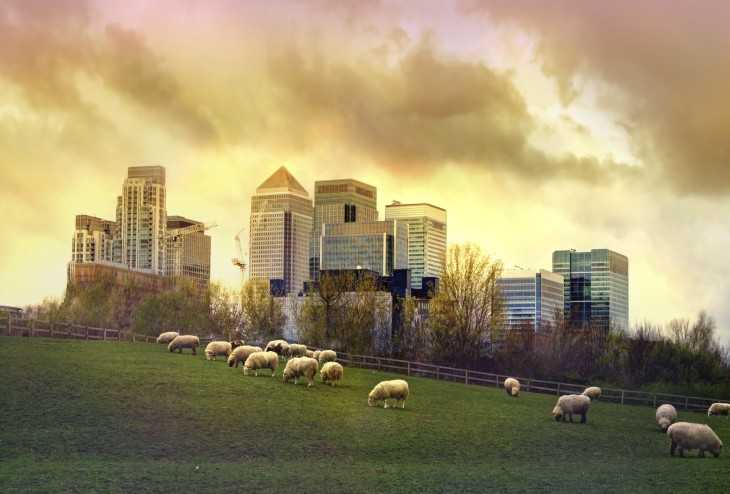 DonheadPrep's tweet photo. Get a taste of the rural life in London and see some very cute animals, at one of the capitalโs city farms this summer! https://t.co/vQ7w8Vq7dg #JPPactive #JPPcurious https://t.co/jTaVYe5aVC