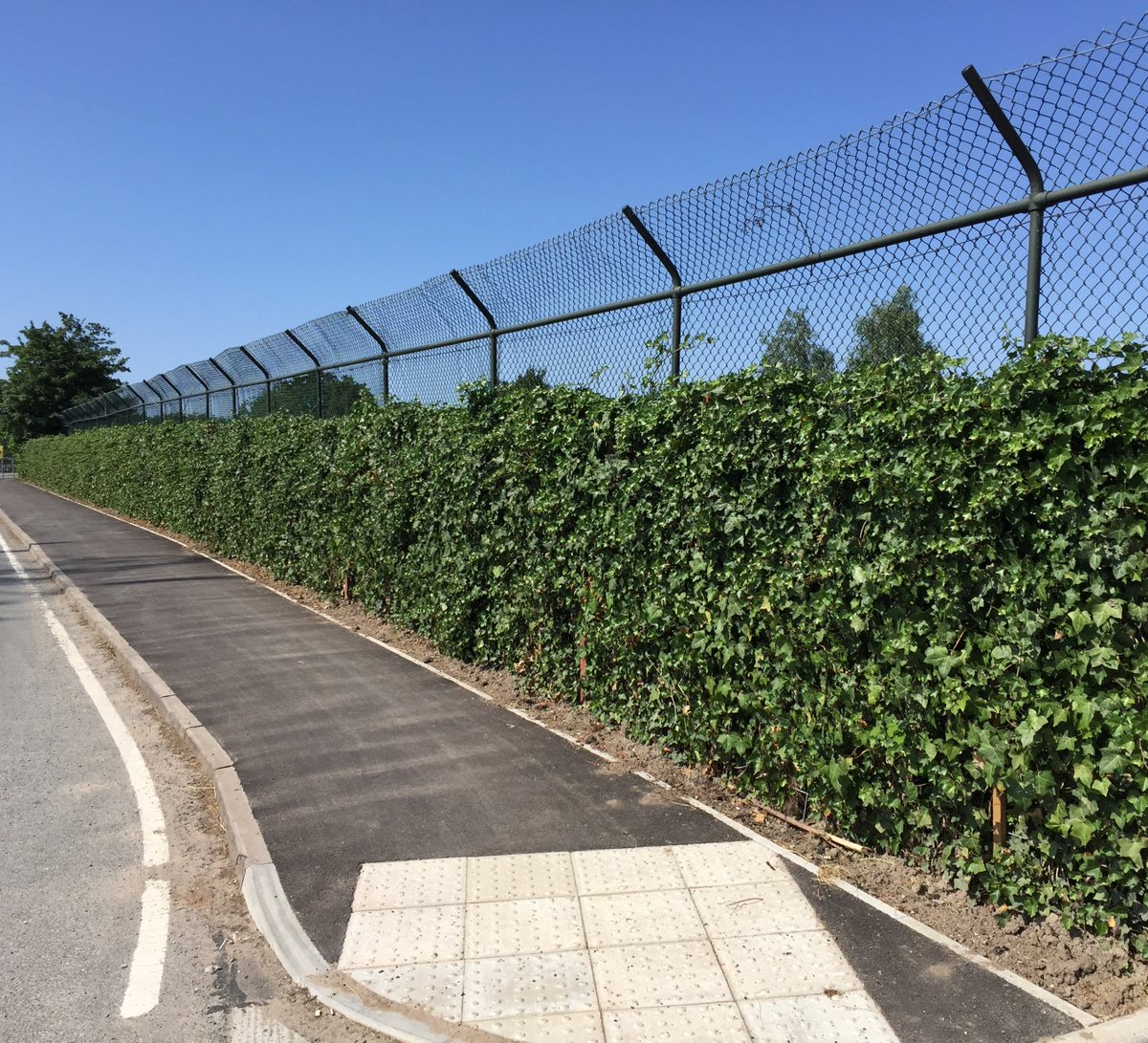 Greentechltd's tweet image. Our gtGreen Screens have many applications - screening off a rhino enclosure was a new one to us but was the perfect solution! Read the full story here: tinyurl.com/ydz9x94u #ivyscreen #greenscreen #privacyscreening