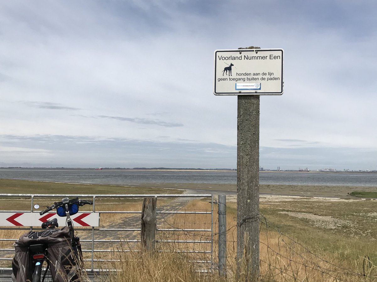 hon_joke's tweet photo. Goedemorgen  gisterenavond aan de #westerschelde  bij de #inlaag #eb NummerEen gezien!
#indischeganzen 
#krakeenden dacht ik ....fijne dag allemaal!🌹💙🚴‍♀️🚴‍♂️😎 https://t.co/zmHy1CsEHx