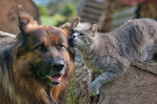 jandgejj's tweet photo. Как бы не была редка истинная любовь, истинная дружба встречается ещё реже.

Франсуа де Ларошфуко https://t.co/GZPppk1EKM