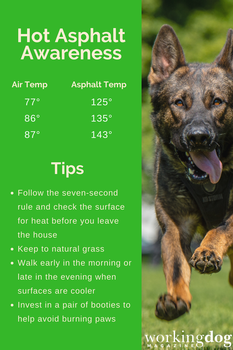workingdogmag's tweet photo. K9 TIPS ON TUESDAY.
With the high temperatures, it's important to remember your K9s safety. Check the asphalt for the temperature, if it's too hot for you, it's too hot for them!
#k9tipsontuesday #k9tips #themoreyouknow #workingdogmagazine https://t.co/XQgb0LqEkv