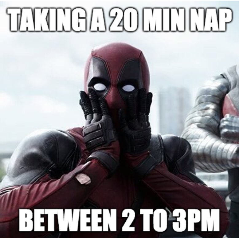 nappingscience's tweet photo. Are you napping at the right time of the day? Find out in our latest video https://t.co/re222wzVEP #RiseandGrind #scicomm #studentlife https://t.co/6Ffh4WzDg7