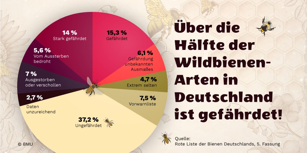 _BMUKN's tweet photo. Honigbienen kennt jeder – doch die effizienteren Bestäuber sind meist Wildbienen! 🐝 Die über 560 Wildbienen-Arten haben eine Schlüsselfunktion in unseren Ökosystemen. Deshalb setzen wir uns für den Schutz von Wildbienen und ihren Lebensräumen ein: https://t.co/7lLPWz88Au https://t.co/RqpzSbjbJe