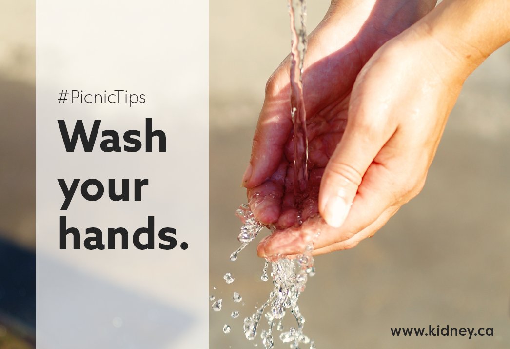 kidneycanada's tweet photo. #PicnicTips: While not always easy to do when #cooking and eating #outdoors, you should always wash your hands thoroughly before preparing or eating food, more especially after contact with animals. #ProtectYourKidneys #KCK #KidneyCommunityKitchen https://t.co/F7ZzrQJqkZ https://t.co/leZ1mUqVHu
