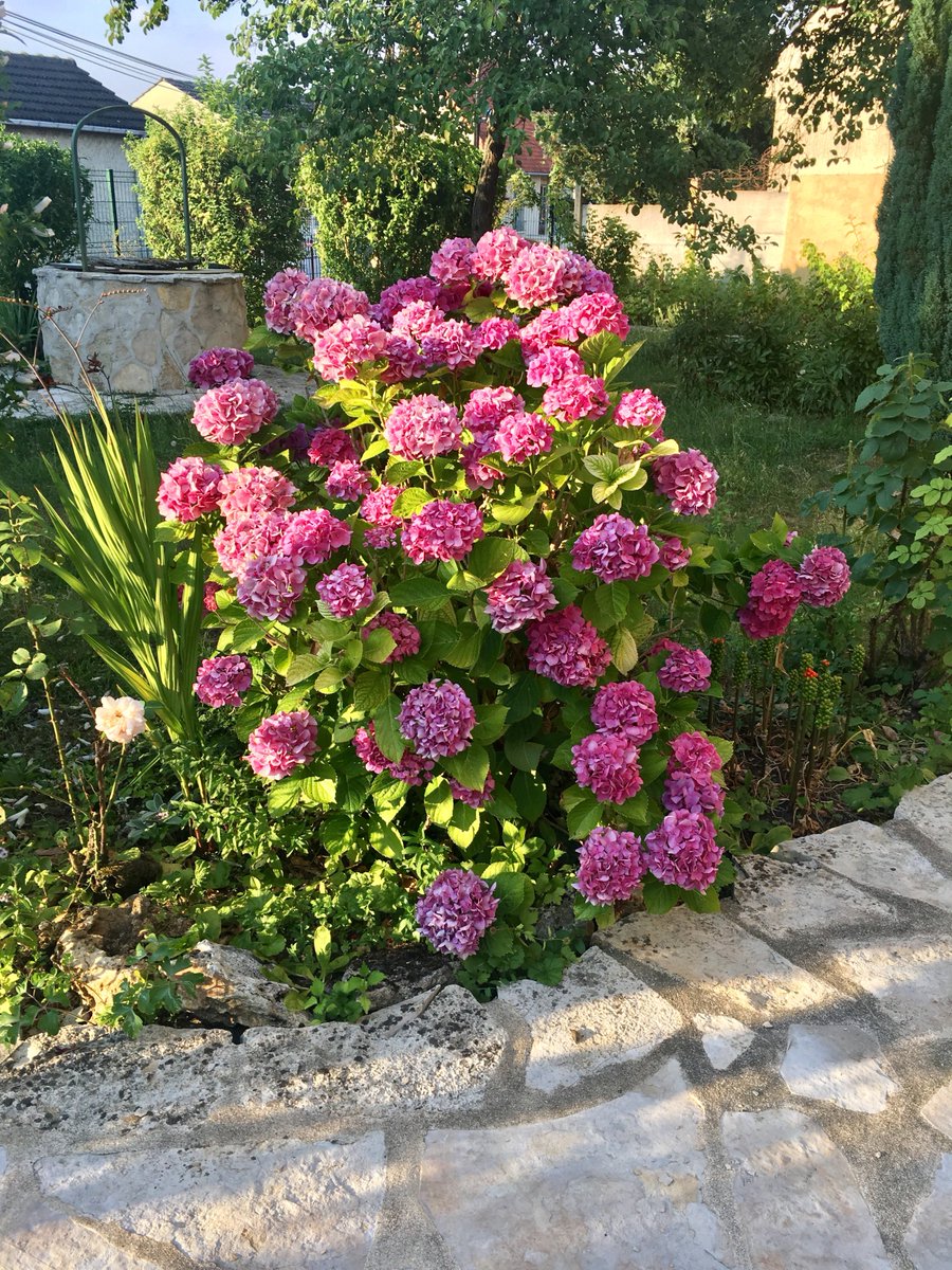 Comment se passe votre été pour l'instant ?