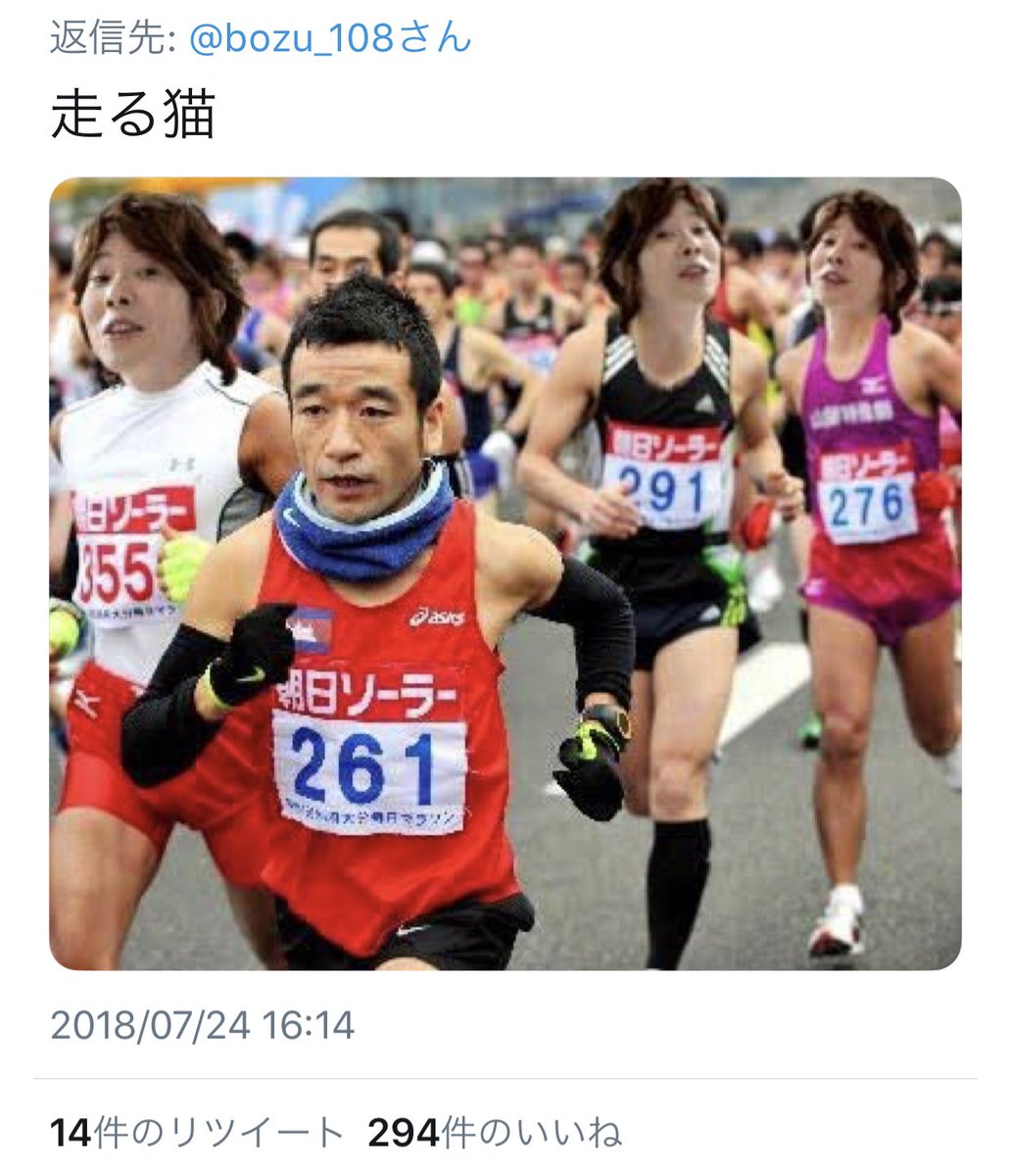 bozu_108's tweet photo. 一番かわいい猫の写真貼った人が優勝選手権。

1枚目2枚目が入選です。
3枚目が金賞。4枚目が最優秀賞です。 https://t.co/2zQo8u2cI3