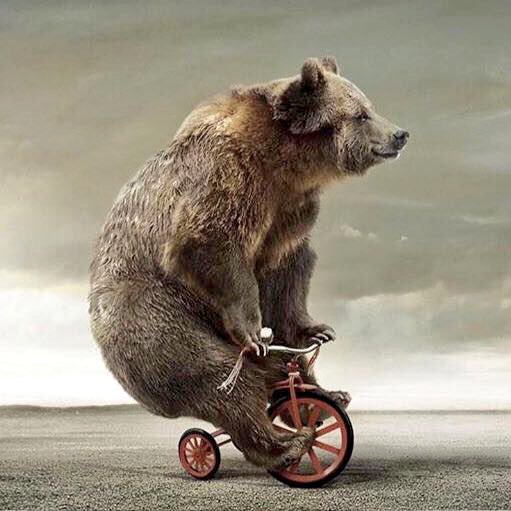 Bye bye #Bitcoin bears 👋🏻