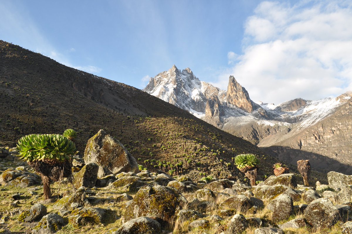 Namesake of the Nation, Mt. Kenya. A scientific wonder because of the permanent snow on the equator. A duo hemisphere biosphere. Come touch the sky #ComeLivetheMagic 
#magicalkenya 
#DiscoverKWSParks <a href="/KwsMtkenya/">kws mtkenya</a>