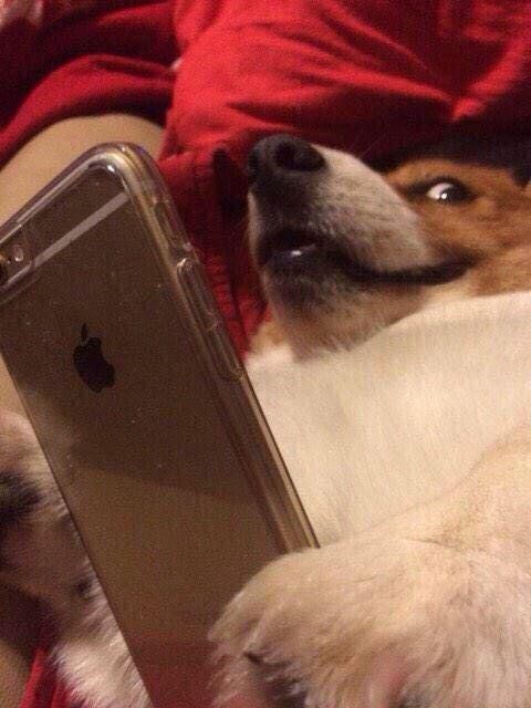 CauseWereGuys's tweet photo. When you click a video on Twitter and it starts moaning. https://t.co/ZNMeo51XpF