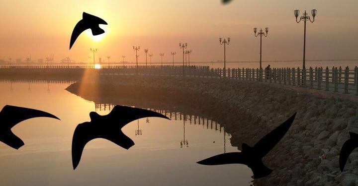 « قال الصنعاني في كتابه : سبل السّلام ( 2/684 ) : انظر في حكمة الله ومحبته لاجتماع القلوب ، كيف حرم النّميمة وهي صدق ؛ لما فيها من إفساد القلوب ، وتوليد العداوة والوحشة ، وأباح الكذب وإن كان حراما ، إذا كان لجمع القلوب ، وجلب المودّة ، وإذهاب العداوة » .