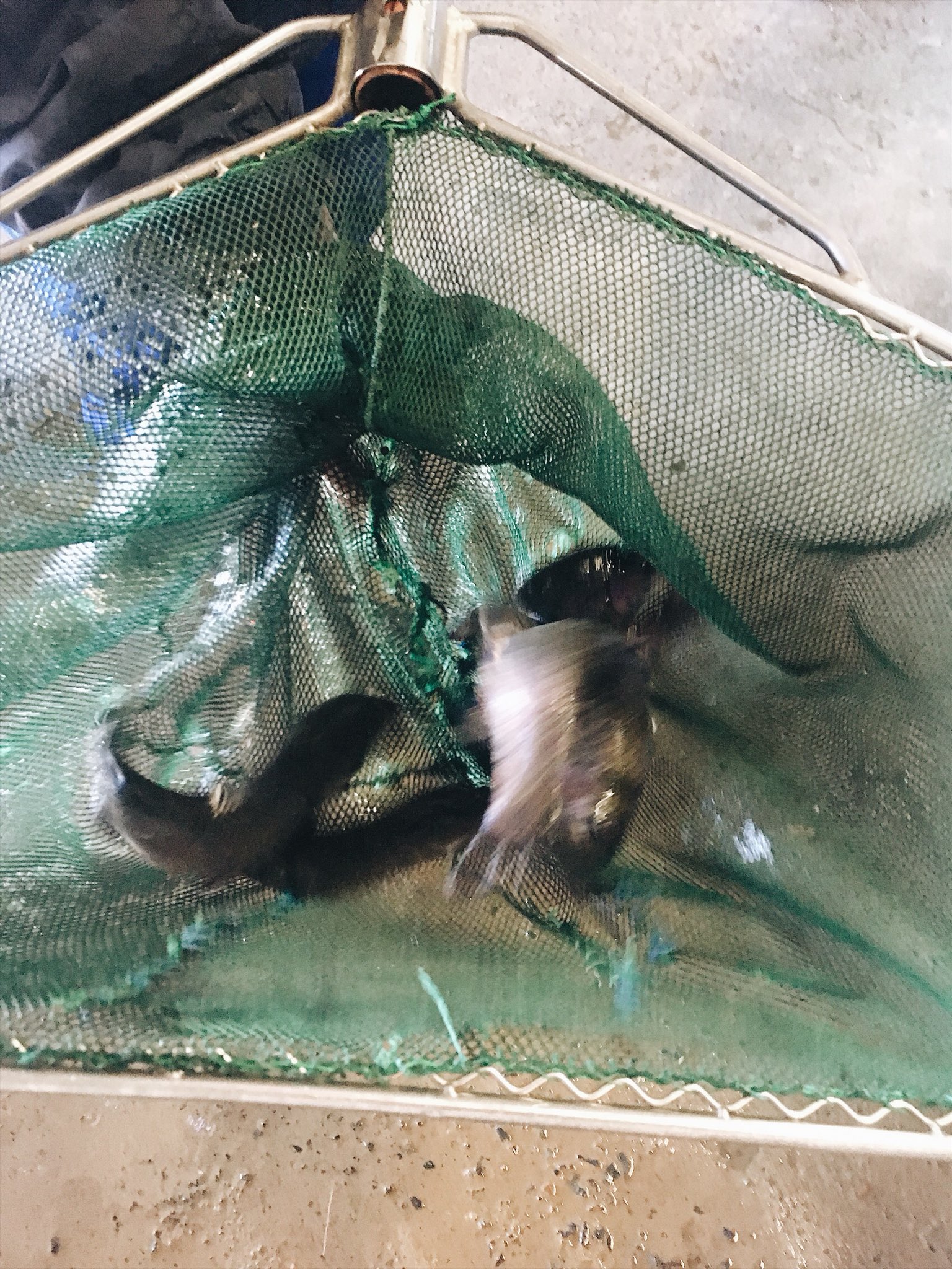 Mpumalanga Tourism on Twitter "Spent the morning learning all about