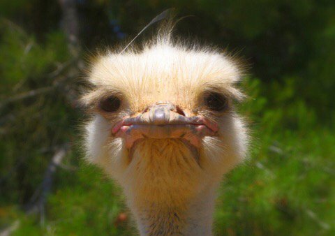 BeHerdMCR's tweet photo. Feel a bit #grumpy #stress and never get time to #relax you should try a few sessions of #reiki #Cheshire #hale https://t.co/TFcSvMK25y