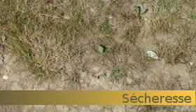 [#Sécheresse2018] Le préfet a décidé de placer le département de l'#Yonne en vigilance sécheresse à compter du 23/07/2018 ⤵️
yonne.pref.gouv.fr/Politiques-pub…