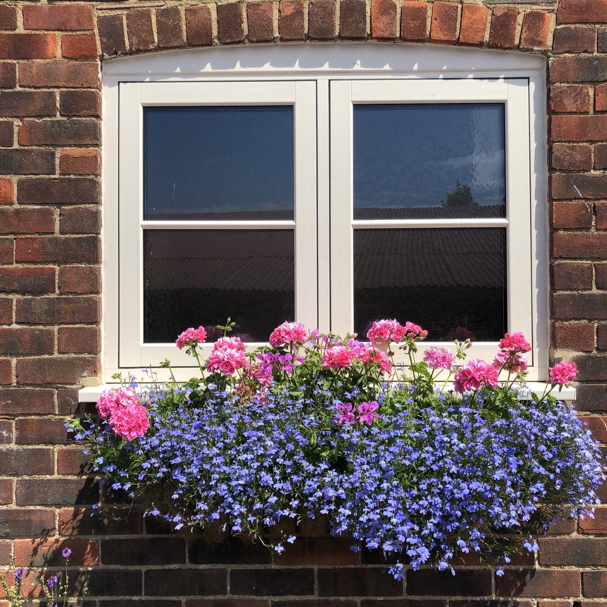 DidcotWindows's tweet photo. @jfplastics Genus hand made mechanical window https://t.co/bao7Ybf28H