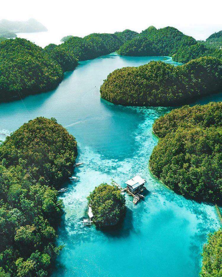 TravelFatimah's tweet photo. Exploring the Sugba Lagoon, Philippines 🌴💚

#Philippines #Sugba #Lagoon https://t.co/BUTilV3lvk