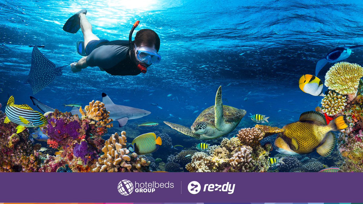 hotelbeds's tweet photo. We are pleased to announce a strategic partnership with Rezdy to increase its activity portfolio, particularly in fast growing Asia Pacific market, as well as across 100 countries globally. https://t.co/3HbWi0ghas https://t.co/0HOQTzimA3