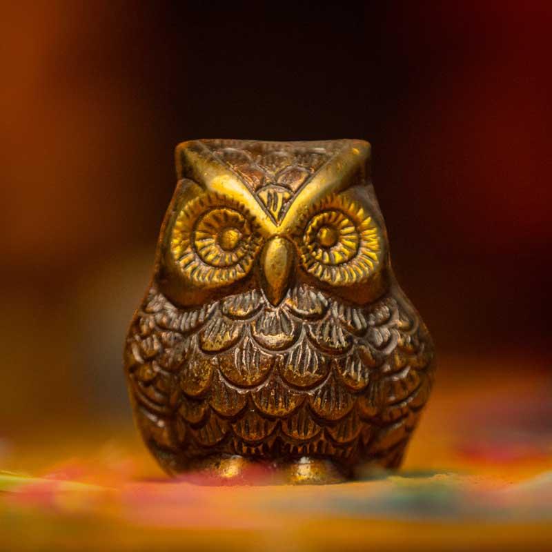 MyPoojaBox's tweet photo. In Hindu mythology, owl is considered the vehicle of Goddess Laxmi. However, in #FengShui, it is considered the symbol of good luck and prosperity. https://t.co/BLrJZJQiwQ https://t.co/x02AkVNdQS