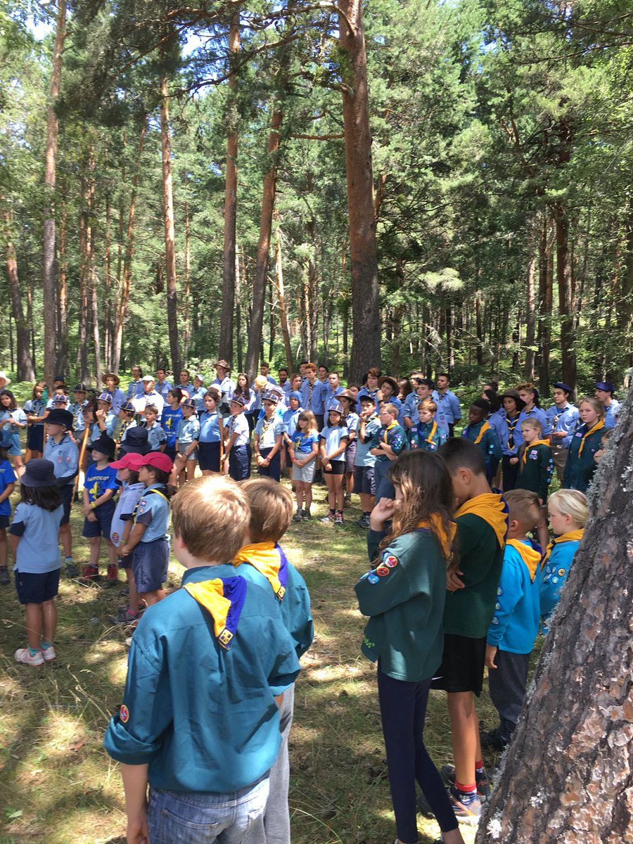 11thWallington tweet media