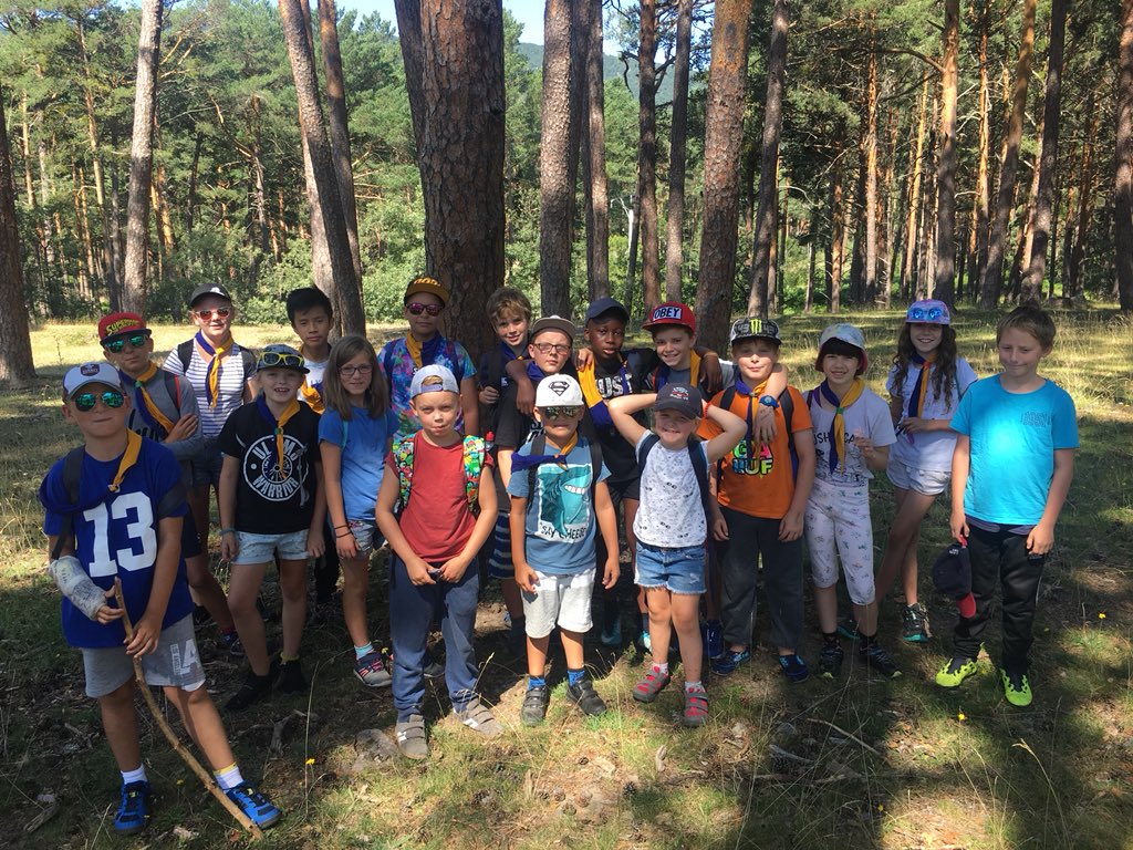 11thWallington tweet media