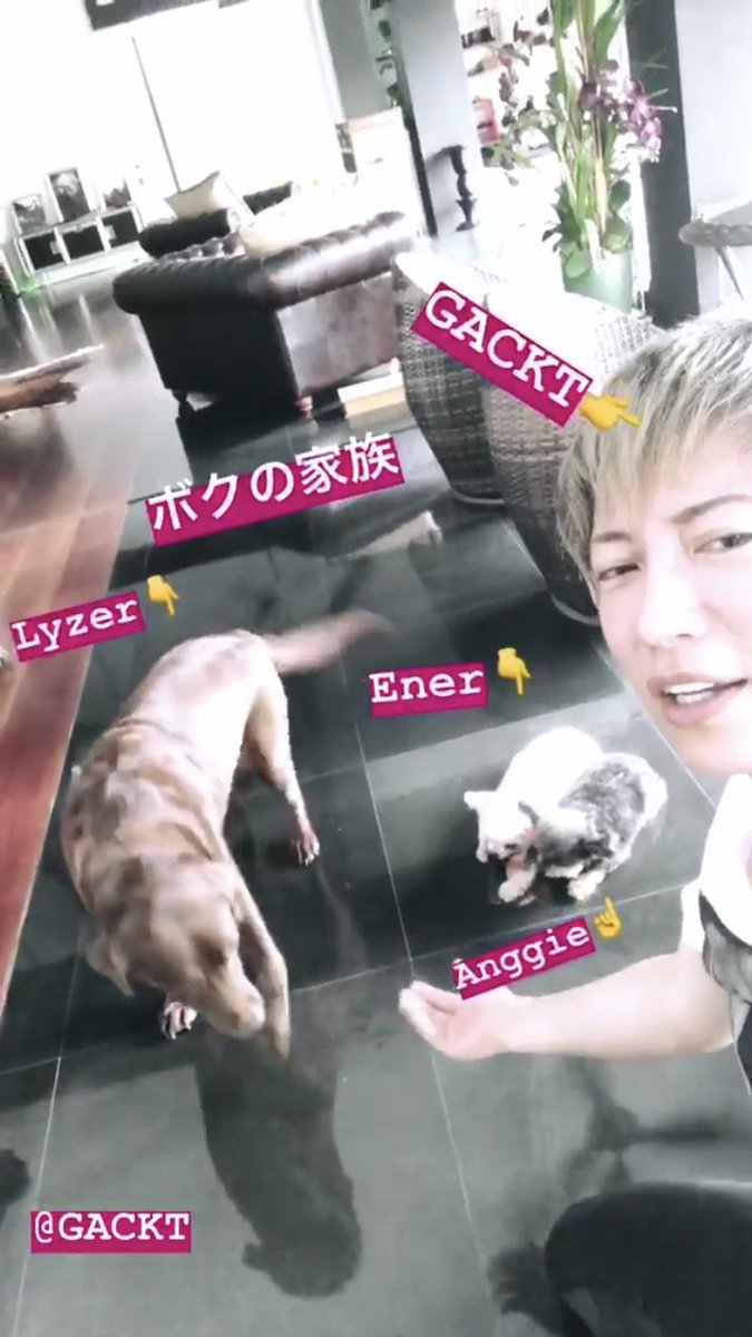 GACKTunofficial's tweet photo. GACKTさんインスタstory更新『ボクの家族です』 https://t.co/FKtLUI1Ruv #GACKT #Lyzer #Ener #Anggie https://t.co/z3BUTJ2IuT