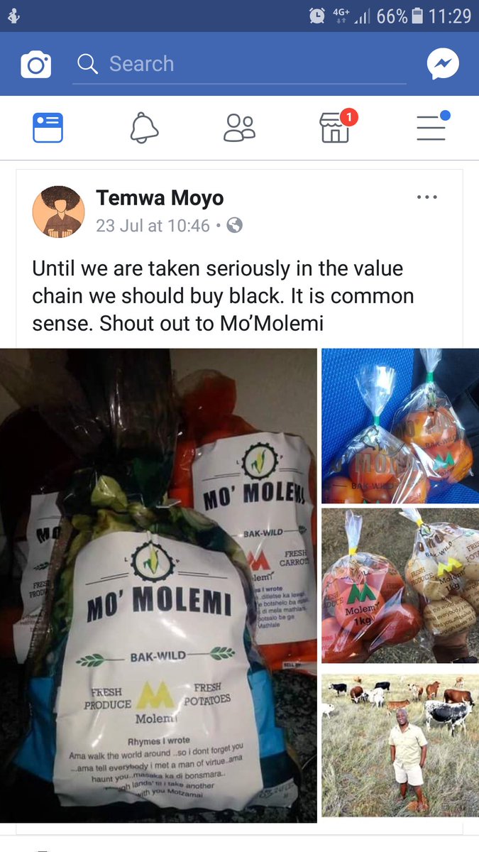 Lihle_Sobethu's tweet image. Let's support our own #MoMolemi
