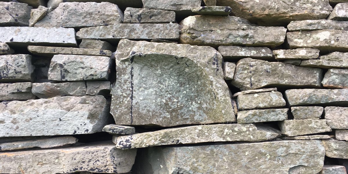 A fragment of quernstone built into an old crofthouse wall #recycling #Shetland