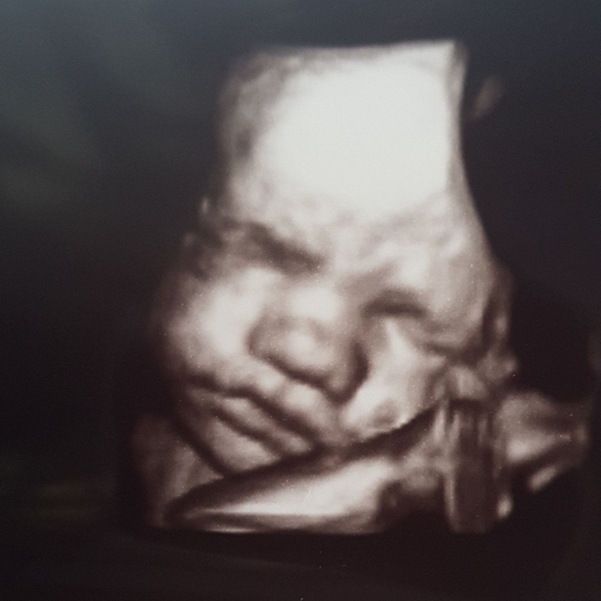 Thegiftmakers tweet media