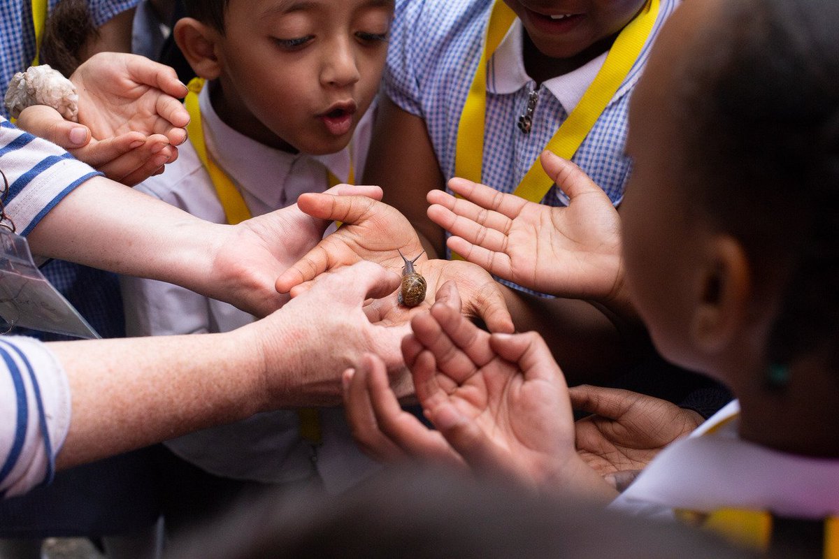 EasternCurve's tweet photo. #schoolsoutforsummer but we're already planning for next year's programme with Holy Trinity Primary #Dalston. Make sure schoolchildren keep learning outdoors by coming to our 'Manifesto for Hackney Community Gardens' launch 28 July, https://t.co/WndNdn3PAa #hackneygreenspaces https://t.co/ITasrv97yV