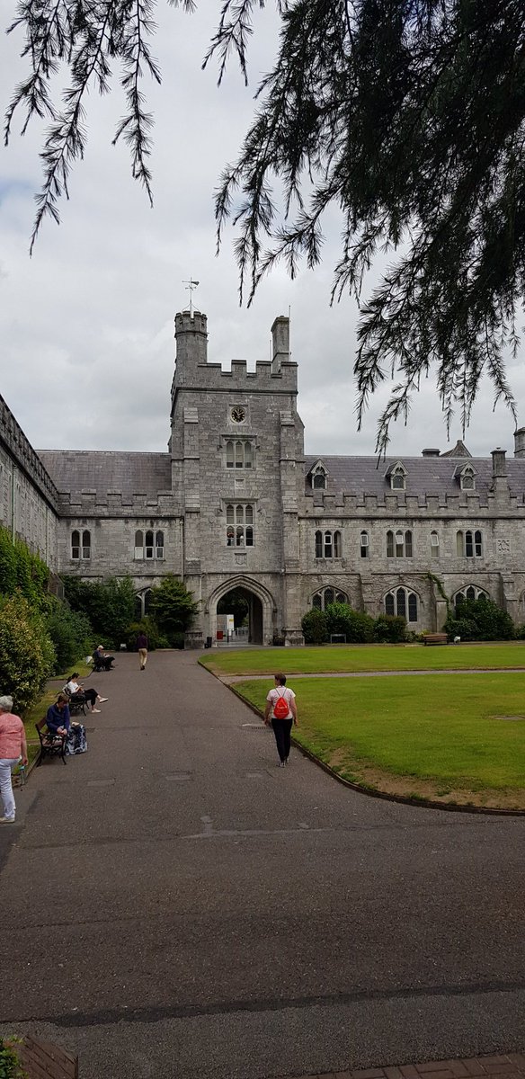 connectedhannah's tweet photo. In the beautiful University College Cork today for IEEENano18 where I'll be giving a talk on the Effect of Ultrasonication on the Attachment of Biological Material in Proximity to Gold Nanowire Arrays @CDT_PIADS https://t.co/RtSPVrjZUa
