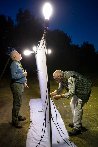 Zo onderzoeken ze in Tilburg insecten: in het donker komen ze vanzelf op je af dlvr.it/QcZpxG