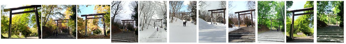(1か月ごとに撮ったわけじゃないけど)北海道、1年の景色の移り変わり 
