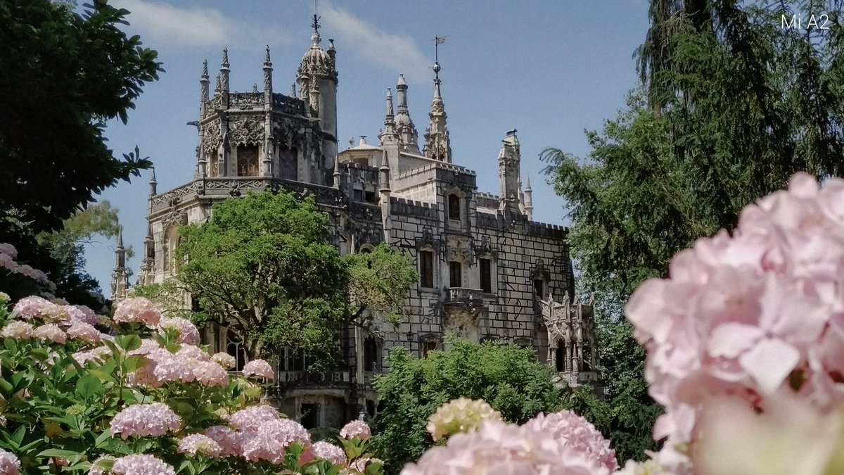 Fotografía tomada por un Xiaomi Mi A2 Fotografía tomada por un Xiaomi Mi A2