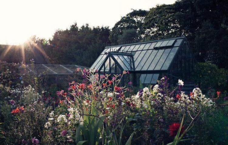 To raise money for those artists affected by the St. Michael's Studio fire, Jenny &amp; John Makepeace will be opening their acclaimed garden at Farrs, Beaminster, on Sun 29 July, 2 - 5 pm for £5. £5 per head, all welcome. Please spread word about this #fundraiser in #Dorset