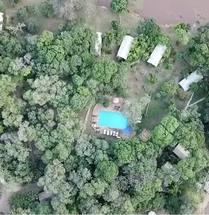 Mara River Camp tweet media